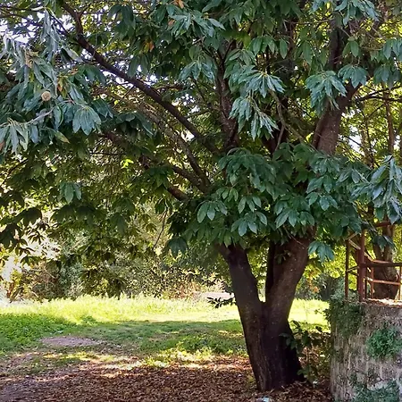 شقة Casa Dei Castagni Vignanello